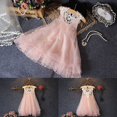 thumbnail image 2 of AMERTEER Robe Bébé Fille Dentelle Fleur Tutu Princesse Robe Ligne A Sans Manches Été 2-7 Ans, 2 of 7