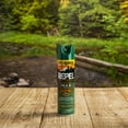 Repel Insect Repellent Sportsmen Max Formula 40 DEET Aerosol Value