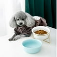 thumbnail image 3 of Anti Vomiting Easy Cleaning Neck Protect with Bracket Ceramic Material Slope Design Cat Feeding Bowl Dog Drinking Dish Pet Accessories Cat Bowl BLUE S WITH BRACKET, 3 of 8