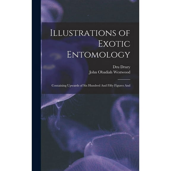Illustrations of Exotic Entomology; Containing Upwards of six Hundred And Fifty Figures And (Hardcover)