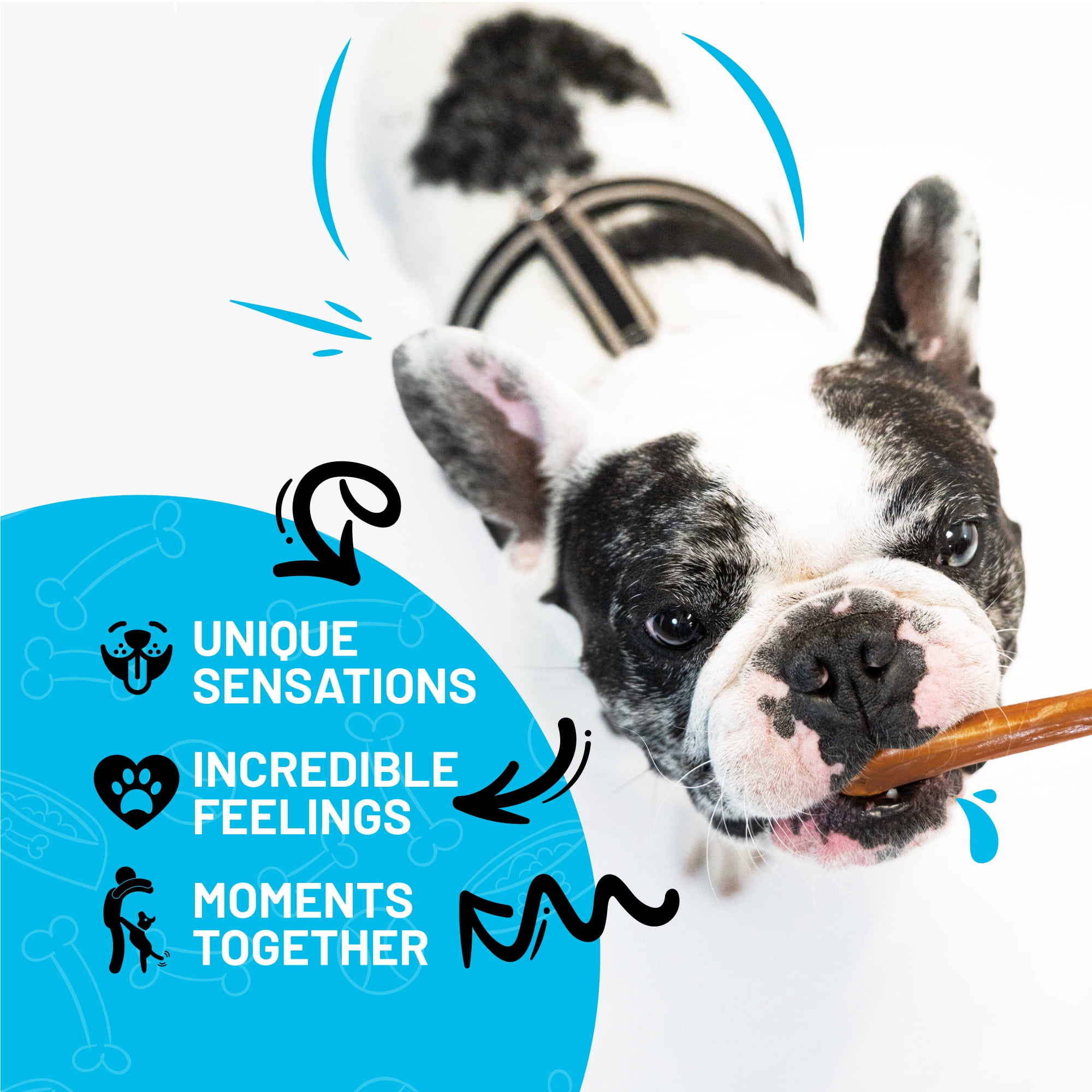 Sitka Farms Premium Bully Sticks 12 inch | Tasty Chews for Large Medium and Small Dogs (10 count)