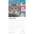 thumbnail image 4 of Cat Lovers 2025 12 X 24 Inch Monthly Square Wall Calendar Foil Stamped Cover Plastic-Free (Other), 4 of 9