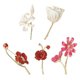 thumbnail image 1 of 5 uds. Broches florales elegantes, broche de ropa, ramillete de aleación, joyería de moda, 1 of 5