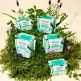 thumbnail image 5 of The Honey Pot Company Herbal Regular Pads with Wings, Organic Cotton Cover, 20 Ct.., 5 of 7