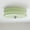 Green, variant on Arturesthome Art Deco Vintage Ceiling Light