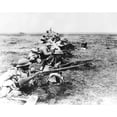 thumbnail image 2 of World War I History (36 x 24), 2 of 2