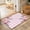 Pink, variant on Pink Roses Washable Small Entryway Area Rugs 2'x3', Classic Floral Eucalyptus Leaves Pink Plaid Washable Throw Rug Non-Slip Sturdy Edge Binding Carpet for Front Door Floor Room Entry
