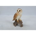 thumbnail image 5 of Hi-Line Gifts 7.25" Barn Owl on Stump Outdoor Garden Statue, 5 of 5