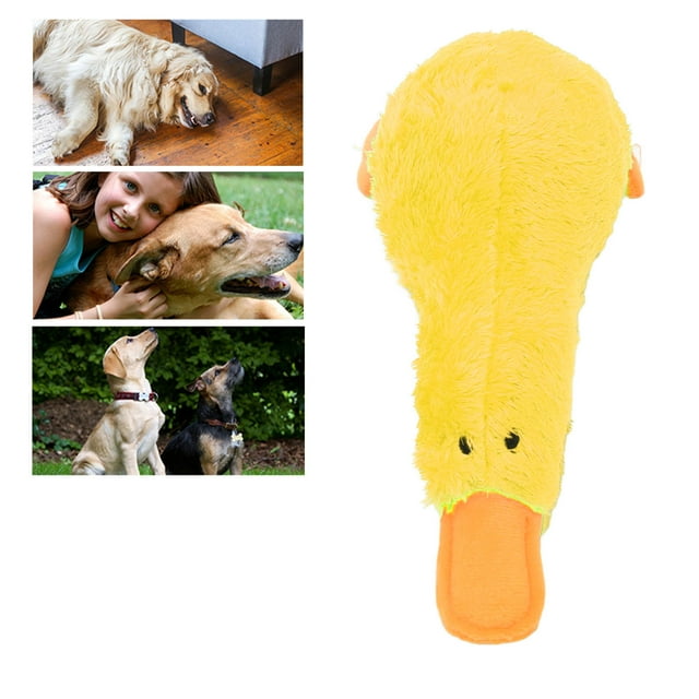 Juguetes Para Masticar Para Perros 2 En 1, Juguete Para Masticar De Felpa Suave Y Chirriante Para Limpieza De Dientes Y Juego Activo, Juguete Para Perros Pequeños Para Jugar En