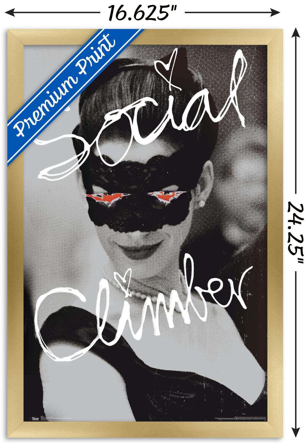 DC Comics Movie - The Dark Knight Rises - Catwoman - Social Climber Wall Poster, 14.725" x 22.375", Framed