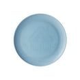 thumbnail image 1 of Holiday Time Blue Polypropylene Plate, 1 of 5