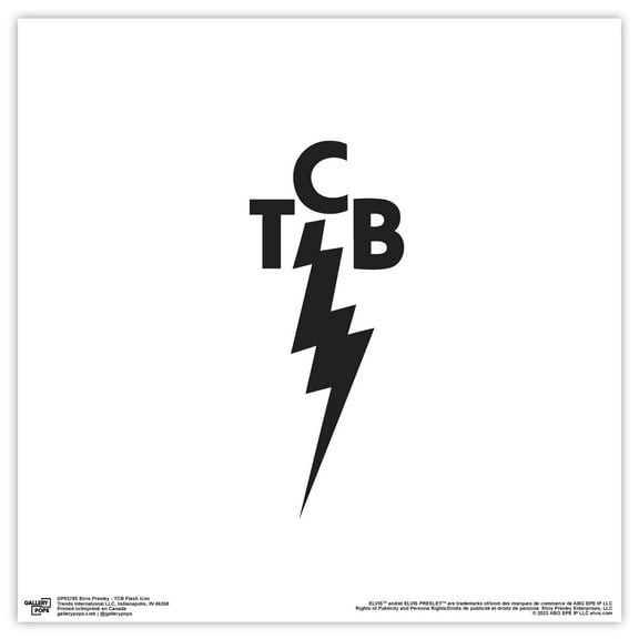 Gallery Pops Elvis Presley - TCB Flash Icon Wall Art, Unframed Version, 12" x 12"