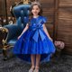 thumbnail image 2 of Girls Sequin Puffy Tutu High Low Bow Belted Kids Princess Dress Performance Evening Christmas Dress, 2 of 5