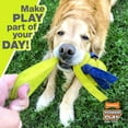 thumbnail image 4 of Nylabone Power Play Dog Fetch Toys Fling-a-Bounce Medium - 10 in., 4 of 10