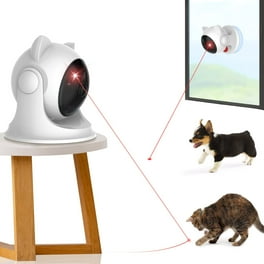 Cat laser toy walmart hotsell