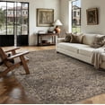 thumbnail image 6 of BERTHMEER 5'x7' Area Rugs for Living Room Kitchen Rugs for Bedroom Non Slip Washable Vintage Brown Carpets Oriental Distressed Office Dorm Dining Room Traditional Throw Rugs, 6 of 9