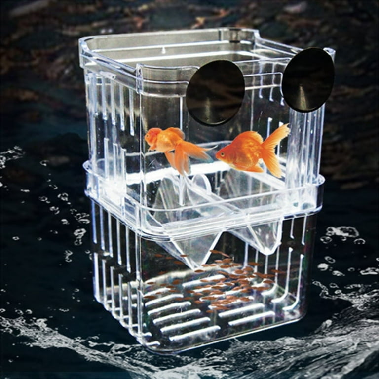 acclimation box for fish Bubble Magus RF100  Aqua And Beyond Mushroom Box by Printed Reef  Clear coral isolation Magnetic Fish & Coral Acclimation