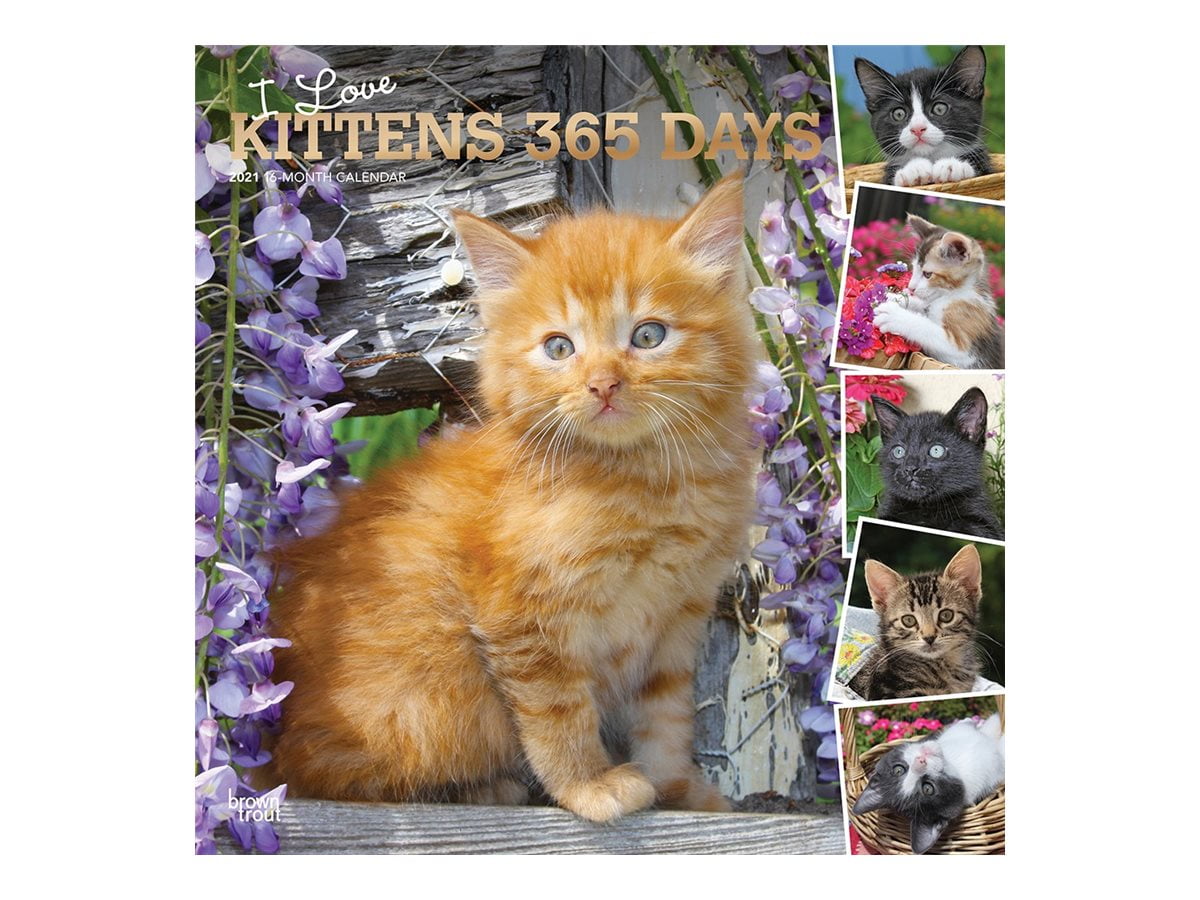 I Love Kittens 12 Month 2021 Wall Calendar 12"X12" I Love Kittens 12 Month 2021 Wall Calendar 12"X12"