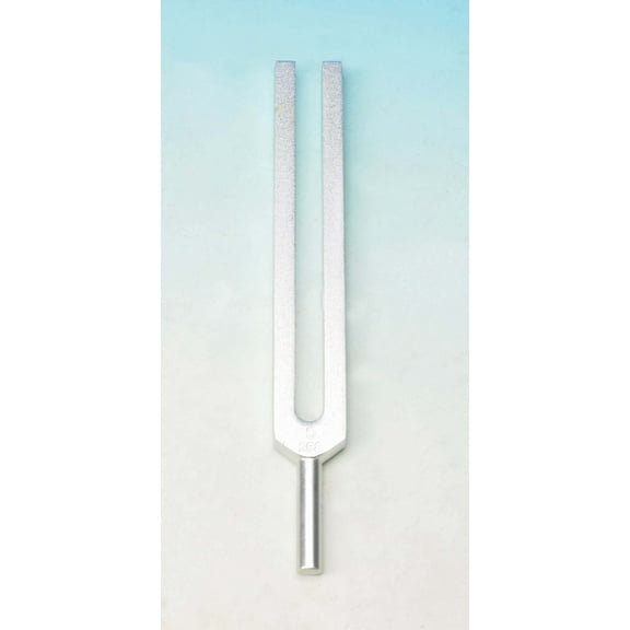 Eisco Labs Economy Aluminum Tuning Forks for Physics, 320Hz (+/- 5%)