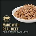 thumbnail image 4 of Purina Pro Plan Vital Systems, Beef Entree, Wet Cat Food, 3 oz Cans, 24 Pack, 4 of 10