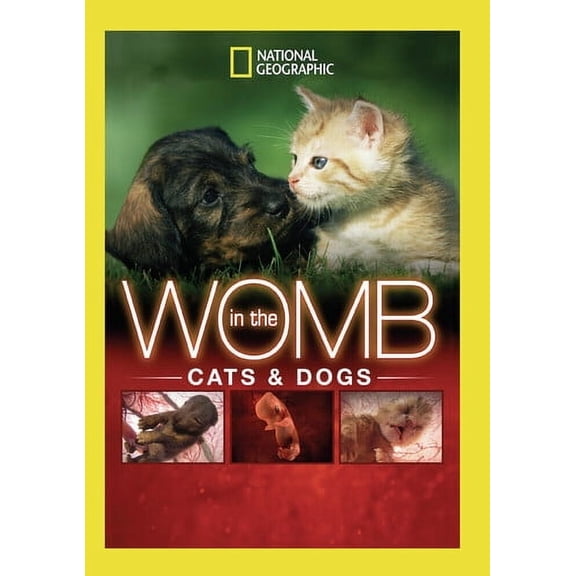 In The Womb: Cats And Dogs (DVD)