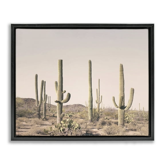 Stupell Industries Blush Cactus Field Landscape & Nature Photography Black Floater Framed Canvas Art Print Wall Art, 21 x 17