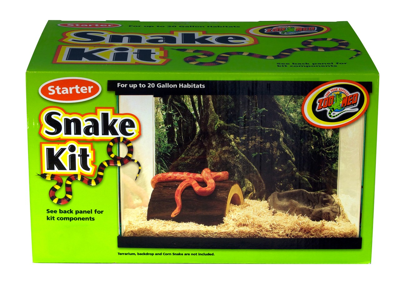 corn snake beginner kit