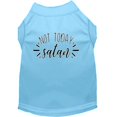 thumbnail image 1 of Not Today Satan Screen Print Dog Shirt Baby Blue Xxl (18), 1 of 1