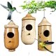 thumbnail image 1 of 2/3 Uds colibrí colgante, 2022 nuevo colibrí para rata En, 1 of 4