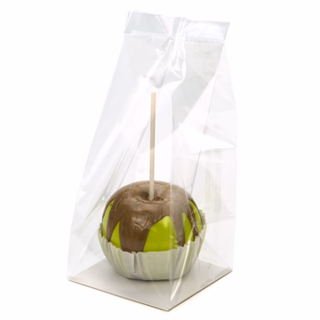 ClearBags Flat Bottom Gusset Bag w/ Paper Insert 4" x 4" x 9" 100-Pack