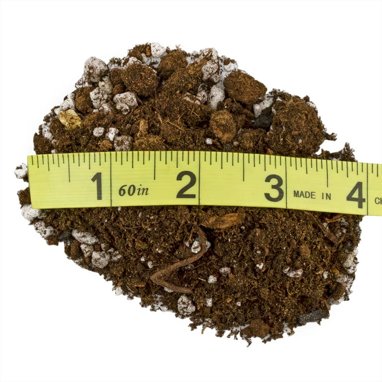 Soil Sunrise Lavender Potting Soil Mix, 8 Quarts, Aeration, Drainage,  Nutrients, Indoor Outdoor - Walmart.com