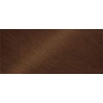 thumbnail image 2 of La Crème Colorante Bigen One Push, 2 of 2