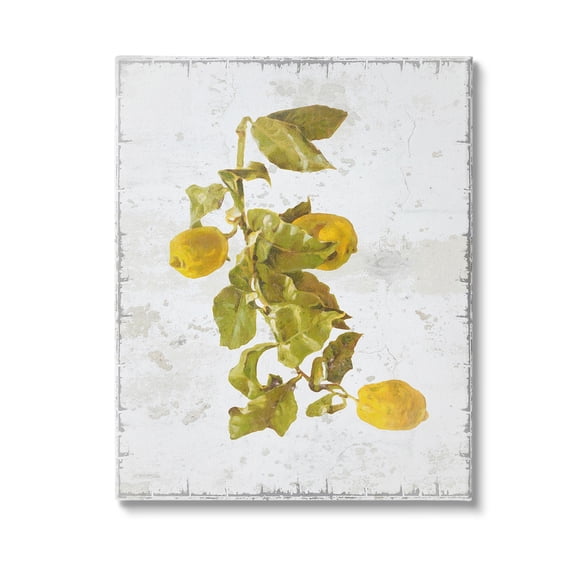 Stupell Industries Natural Lemon Fruits Food & Beverage Painting Gallery Wrapped Canvas Art Print Wall Art, 16 x 20