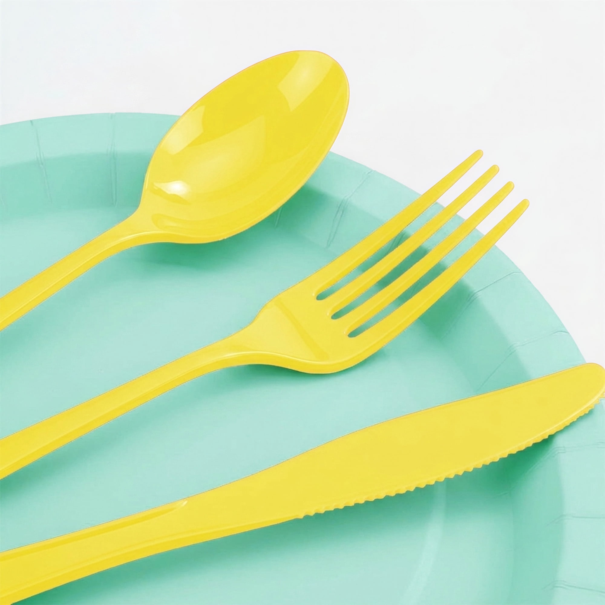 Disposable Paper Plates, 7", Mint, 24 Pieces, by Way To Celebrate