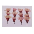 thumbnail image 1 of segolike 12 Pack Natural Pressed Dried Flowers Side Pressed Flowers For crafts, 1 of 9