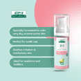 thumbnail image 3 of Aleva Naturals Newborn Starter Kit (Travel pack), 3 of 6