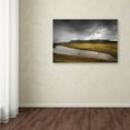thumbnail image 3 of Trademark Fine Art 'Vibes and Gravy' Canvas Art by Philippe Sainte-Laudy, 3 of 3