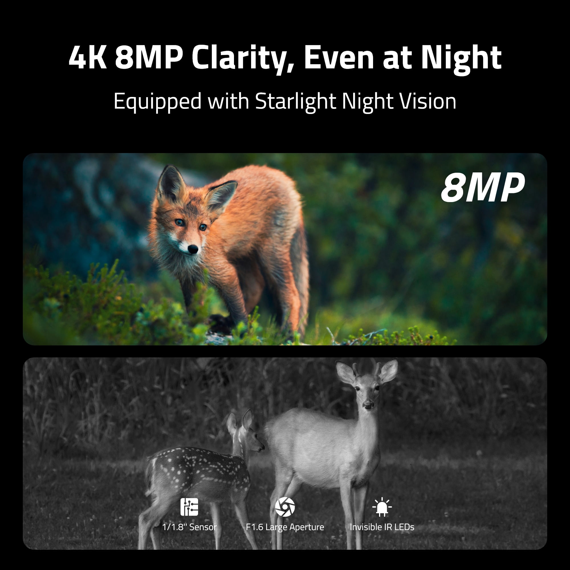 Reolink Talon Series 4K 4G LTE Game Trail Camera Live View Starlight Night Smart Detection Species Recognition