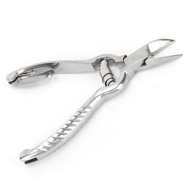 Pinza Para Dientes De Cerdo, Cortadora De Dientes De Lechón, Antioxidante, Con Forma De Calabaza Curva, Duradera Para Equipos De Ganado