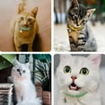 thumbnail image 4 of GASTROPOD Dog Collar with Bell Soft Pu Leather Cat Collars Adjustable Buckle for XS Extra Small Medium Tiny Female Male Pets Puppy Kitten Teacup Yorkie, 4 of 7