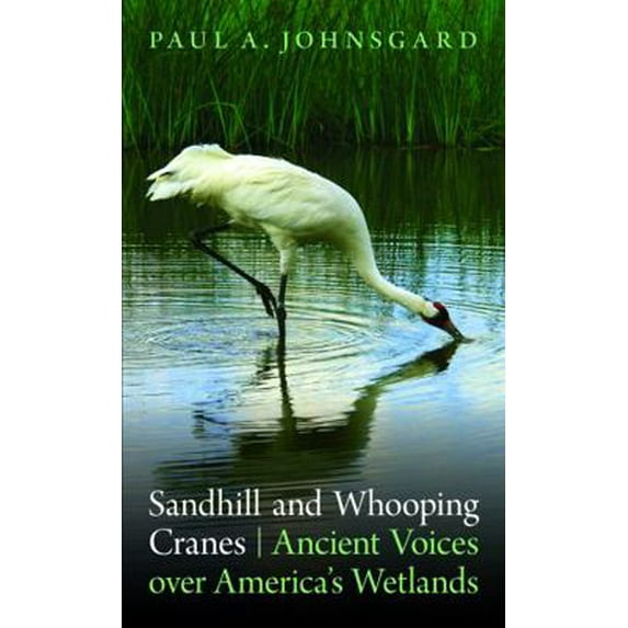 Pre-Owned Sandhill and Whooping Cranes: Ancient Voices Over America's Wetlands (Paperback) 0803234961 9780803234963