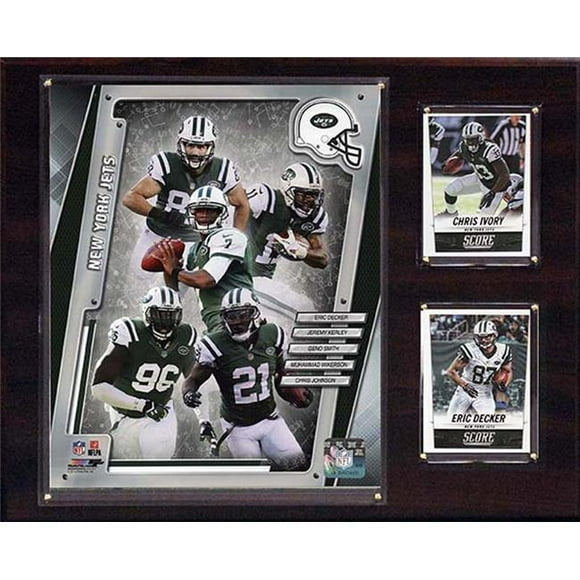 CandICollectables 1215NYJ14 NFL 12 x 15 in. New York Jets 2014 Team Plaque