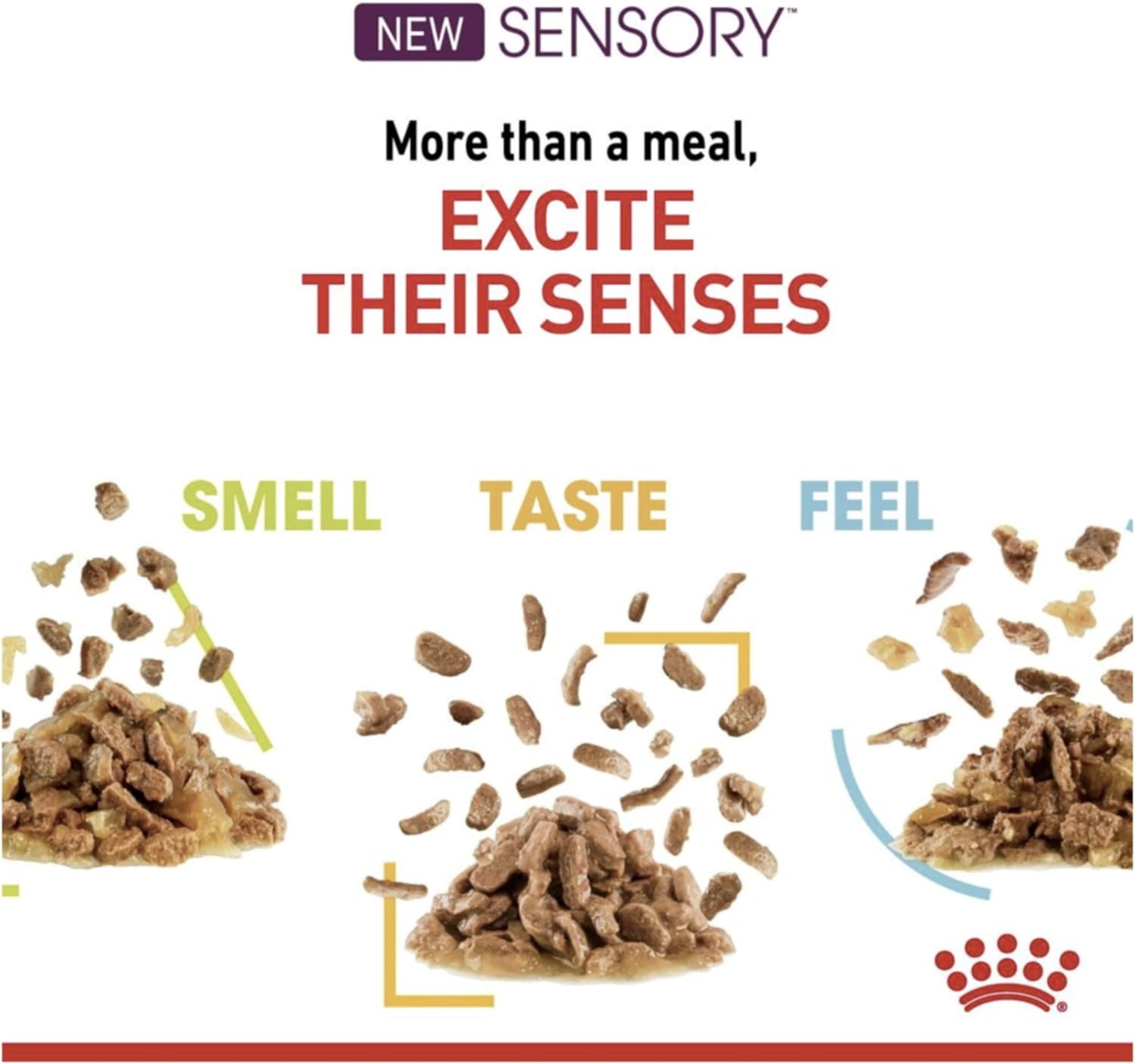 Royal Canin Sensory Smell Cat Wet Food 12x85g CIG