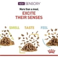 thumbnail image 5 of Royal Canin Sensory Smell Cat Wet Food 12x85g CIG, 5 of 9
