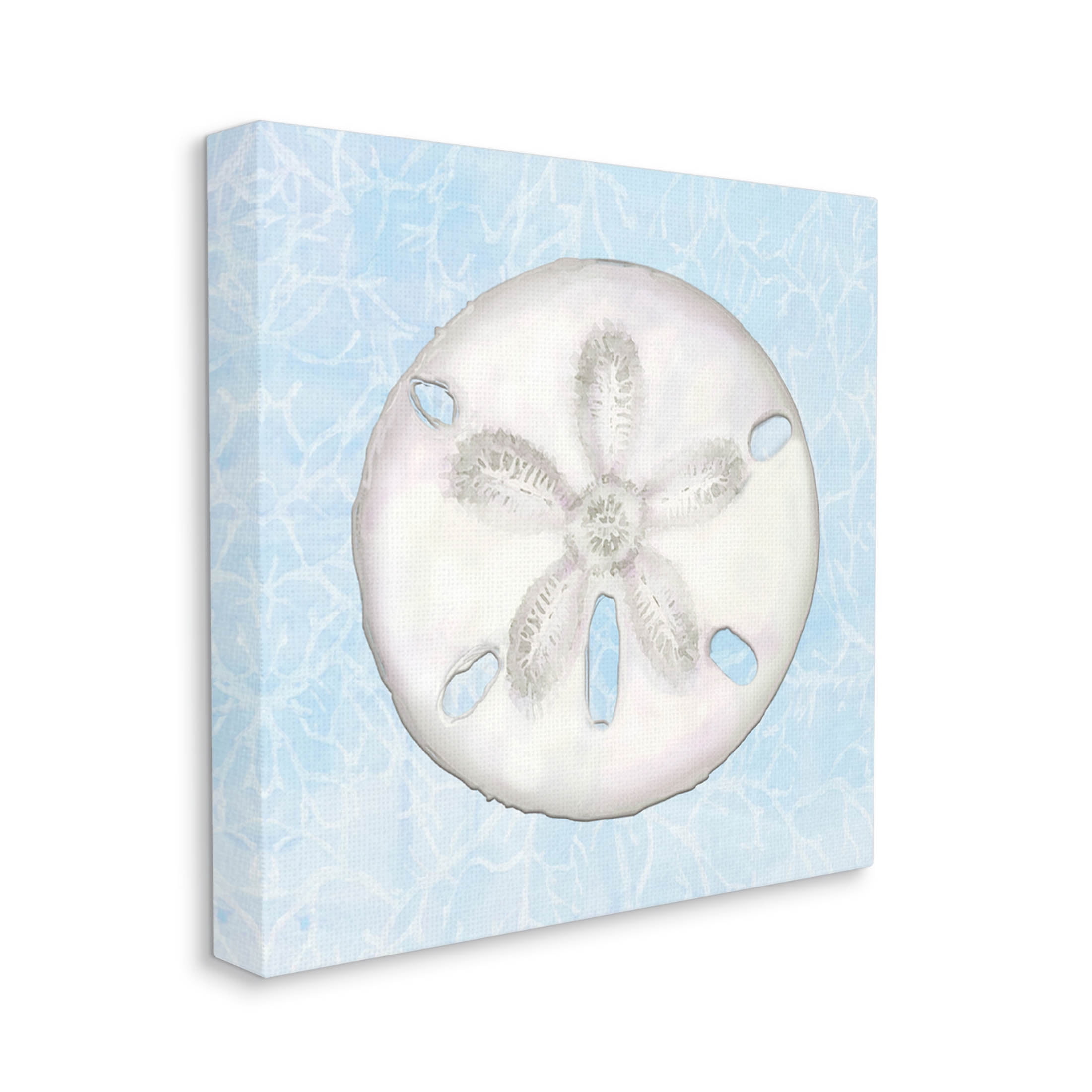 Sand Dollar Aquatic Waves Pattern Animals & Insects Graphic Art Gallery Wrapped Canvas Print Wall Art