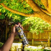 Black Flag Foaming Wasp & Hornet Killer Aerosol Spray - Kills by Contact - 14 Ounce