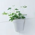 thumbnail image 4 of Suncoda Office Storage & Organization, Organization and Storage Automatic Water Absorbing Flowerpot Plastic Circular Flowerpot, 4 of 6