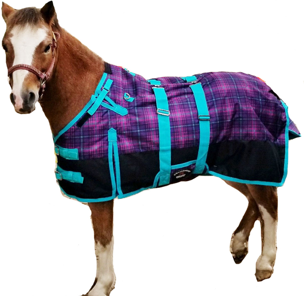 CHALLENGER 1000D Horse Turnout Medium Weight Winter Waterproof Blanket 113 