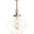 thumbnail image 4 of Plant Mister- Clear Color Glass Bottle & Brass Sprayer (Rose Gold), 4 of 19
