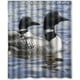 thumbnail image 1 of ABPHQTO Loon Lake Cortina de ducha Cortina de ducha impermeable 150x180 cm, 1 of 2